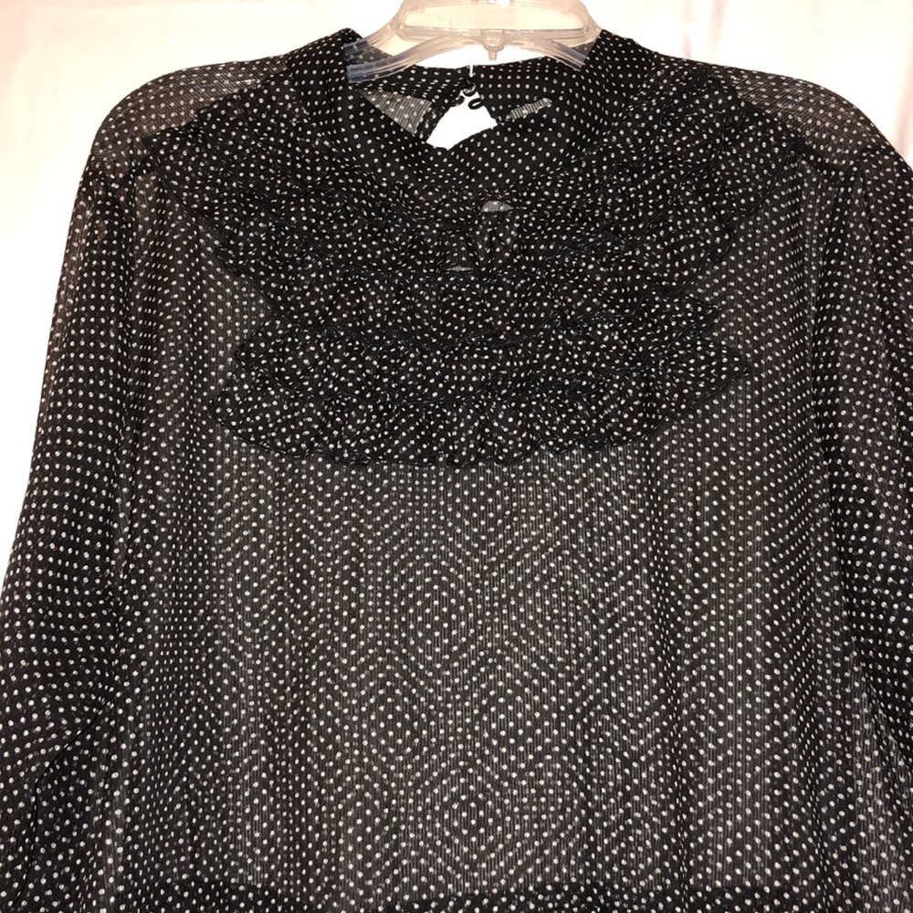 Sheer Polka Dot Dress with Ruffles